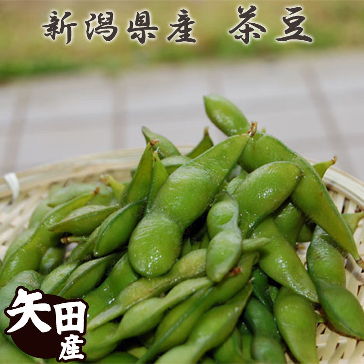 予約 新潟県 矢田産 茶豆 1.5Kg