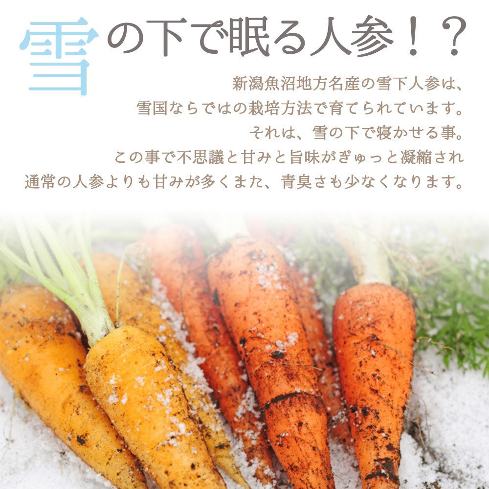 雪下人参ジュース 1L×6本