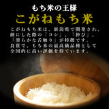 新潟県産 きねつきもち しろもち 400g×2袋 JAえちご中越