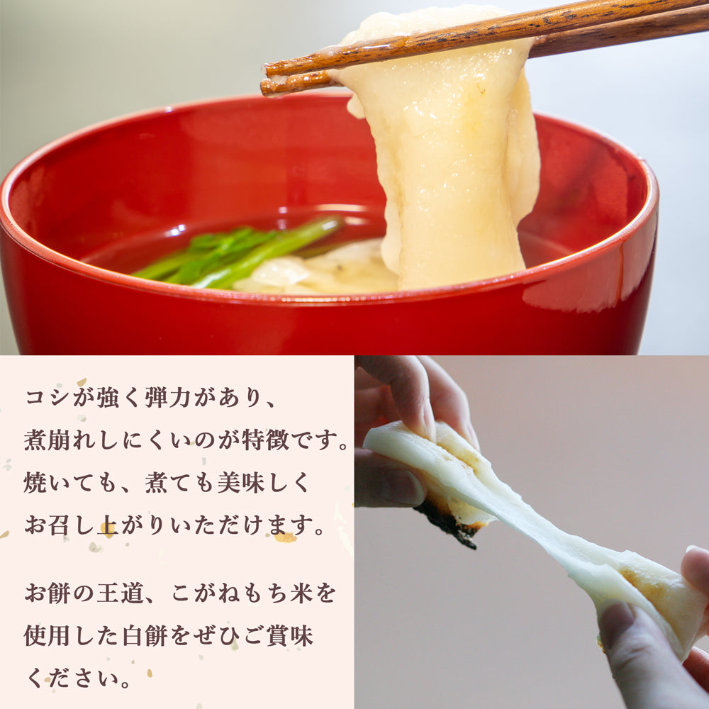 越後杵つき餅4種（杵つき白･よもぎ･豆･玄米餅）セット 化粧箱入り