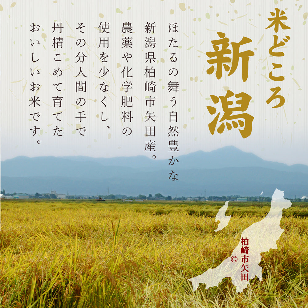 米どころ新潟