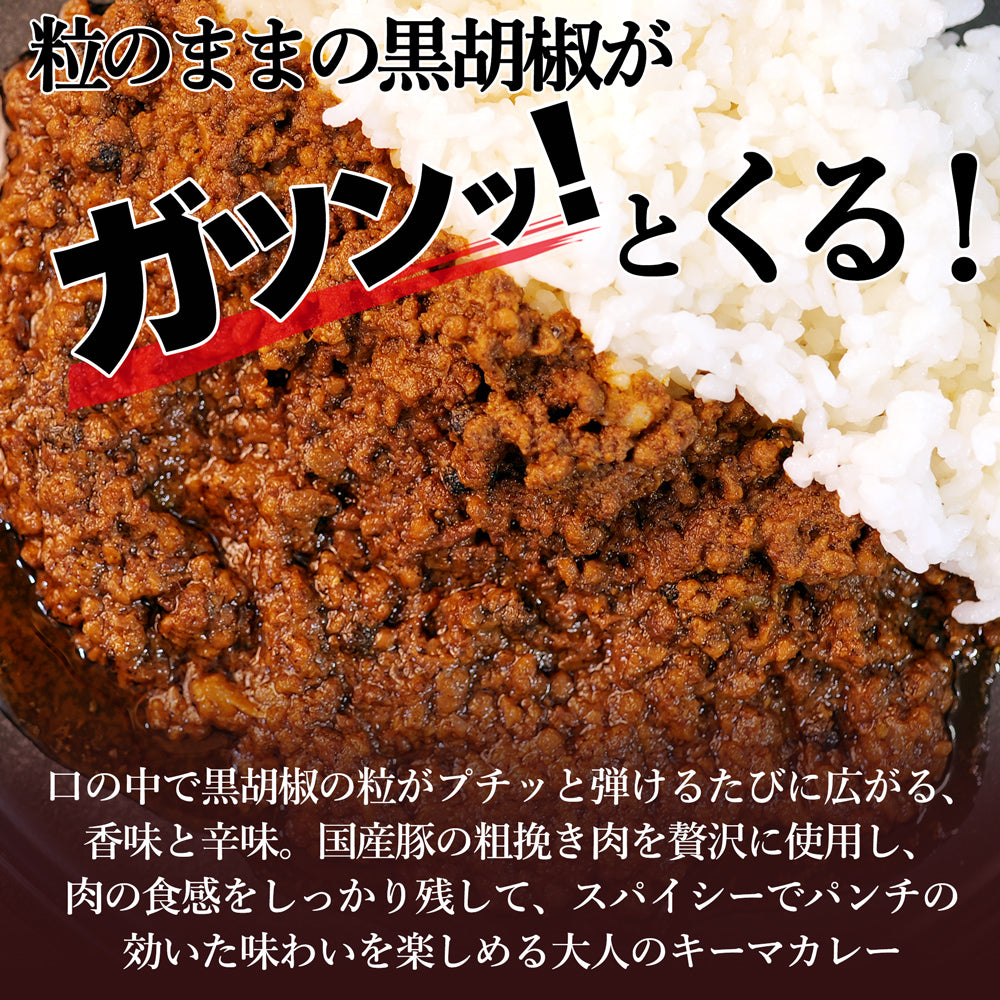 黒胡椒キーマ 辛口 150g×2個 一条もんこ監修 メール便配送