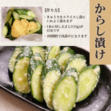 こうじ床 和からし 200g×2袋  山崎醸造 塩こうじ メール便配送