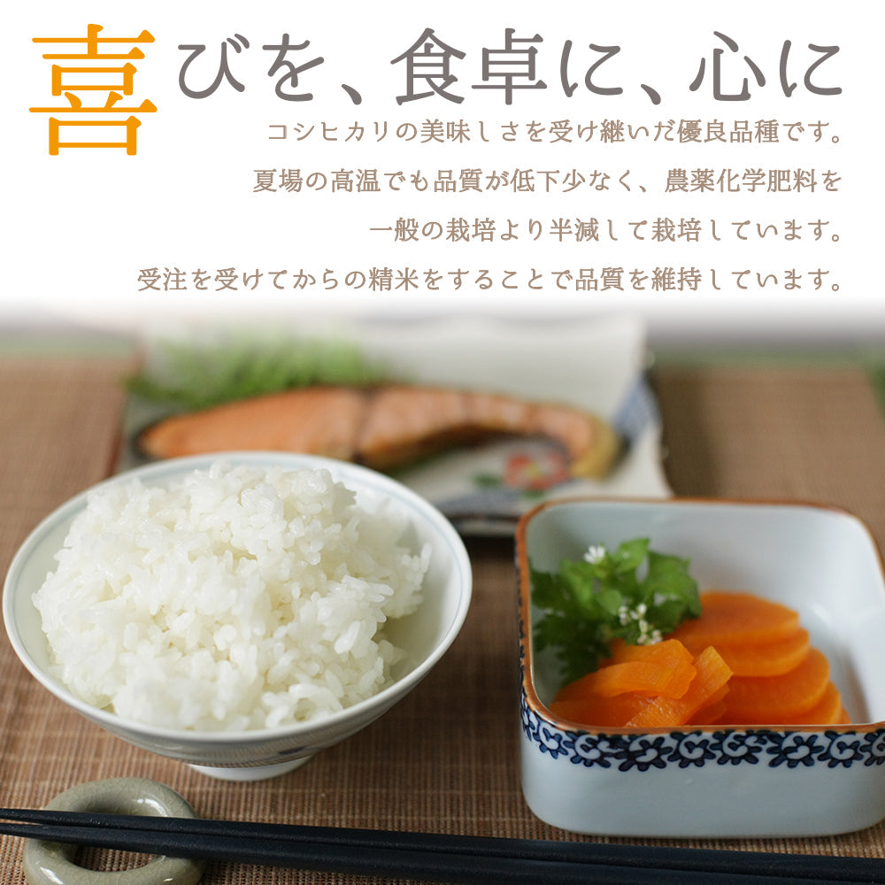 新米 令和5年度産 新潟県産 特別栽培米 10kg(5kg×2袋