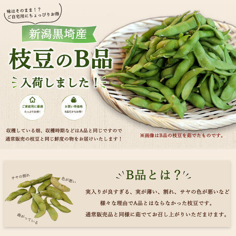 特価 訳あり 黒埼産 早生枝豆 1Kg (お一人様2個まで)