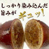 新潟いかめし 2本入り×2袋 産地直送(代引き不可)