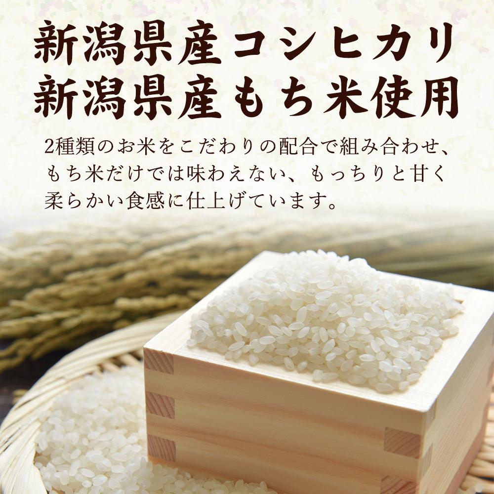 新潟いかめし 2本入り×2袋 産地直送(代引き不可)