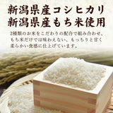 新潟いかめし 2本入り×2袋 産地直送(代引き不可)