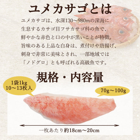冷凍カサゴ フィレ 2kg(1kg×2袋) 骨取り 皮付き