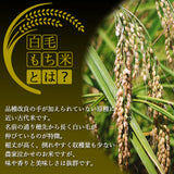 白毛丸餅 420g×2袋 信州上伊那農家直伝