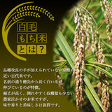 白毛餅 350g×2袋 化粧箱入り 信州上伊那農家直伝