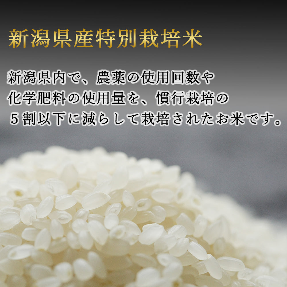 令和6年度産 新潟県産 特別栽培米 コシヒカリ 10kg(5kg×2袋)  ファーミングスタッフ
