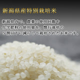 令和6年度産 新潟県産 特別栽培米 コシヒカリ 10kg(5kg×2袋)  ファーミングスタッフ