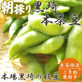 黒埼産 本茶豆 1.5Kg 黒埼茶豆