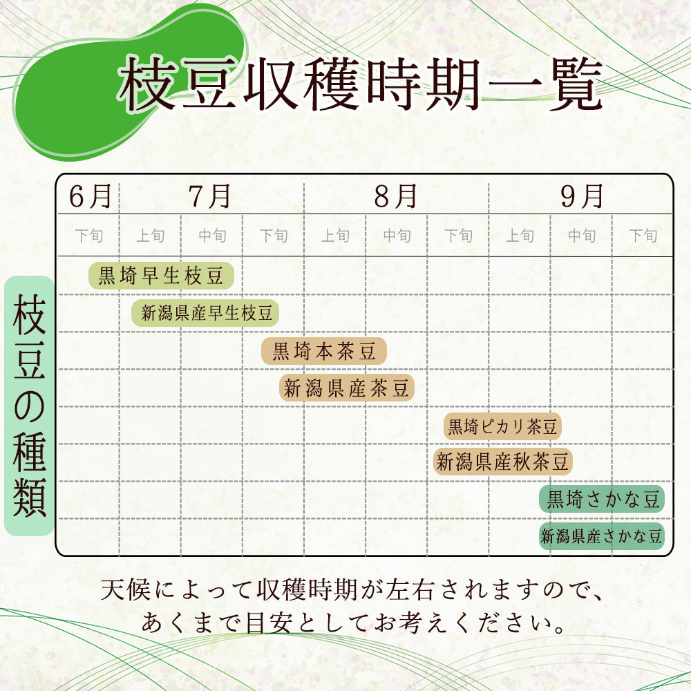 黒埼産さかな豆 1.5Kg 9月下旬頃発送予定