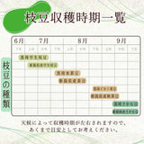 黒埼産さかな豆 1.5Kg 9月下旬頃発送予定