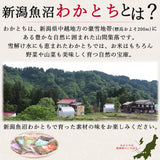 新潟魚沼 わかとちの山菜・地野菜・惣菜セット