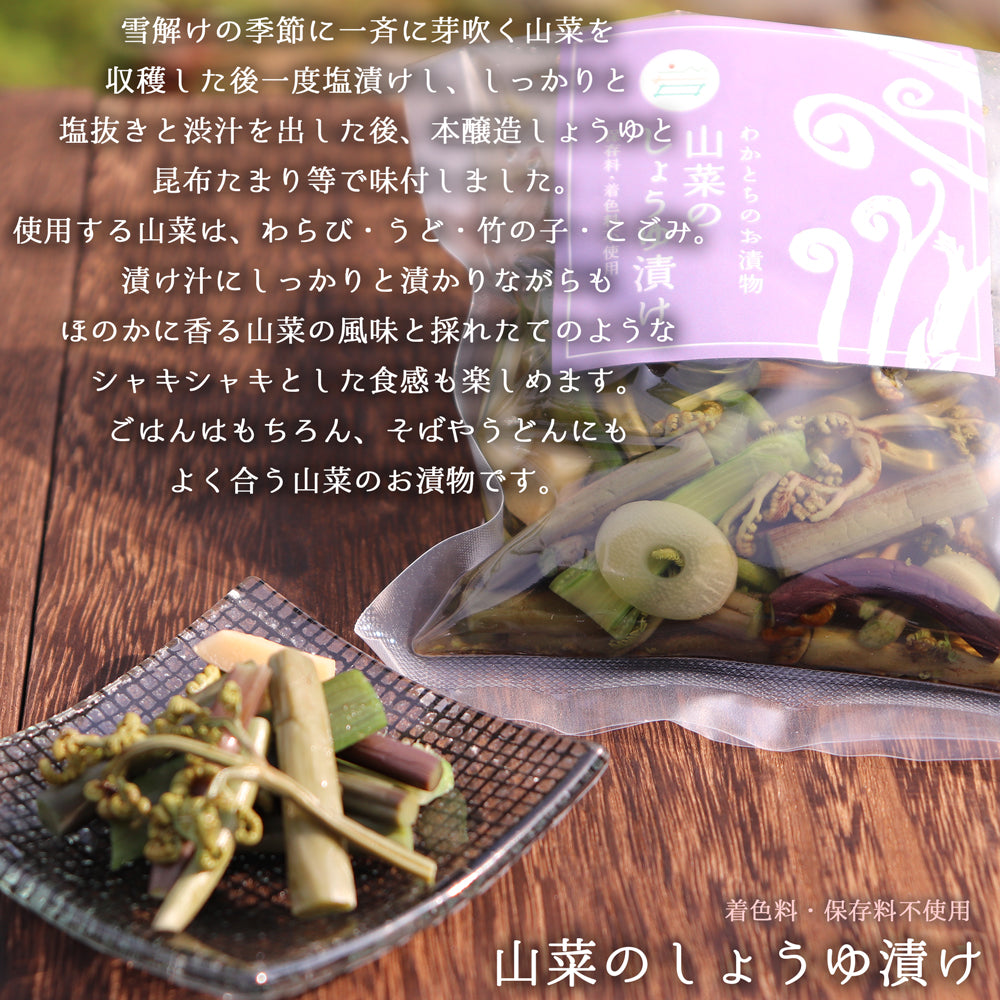 新潟魚沼 わかとちの山菜・地野菜・惣菜セット