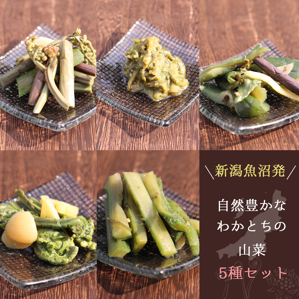 新潟魚沼 わかとちの山菜・地野菜・惣菜セット