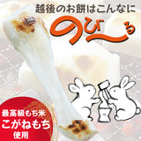 魚沼産黄金もち 300g×4袋 化粧箱入り