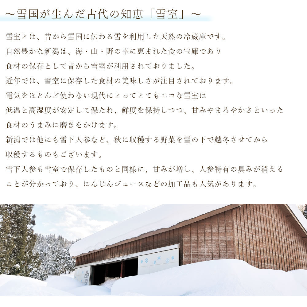 雪室珈琲 プレミアムアイスコーヒー 1リットル×4本